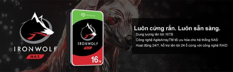 35237_22_01 Ổ cứng HDD Seagate IronWolf