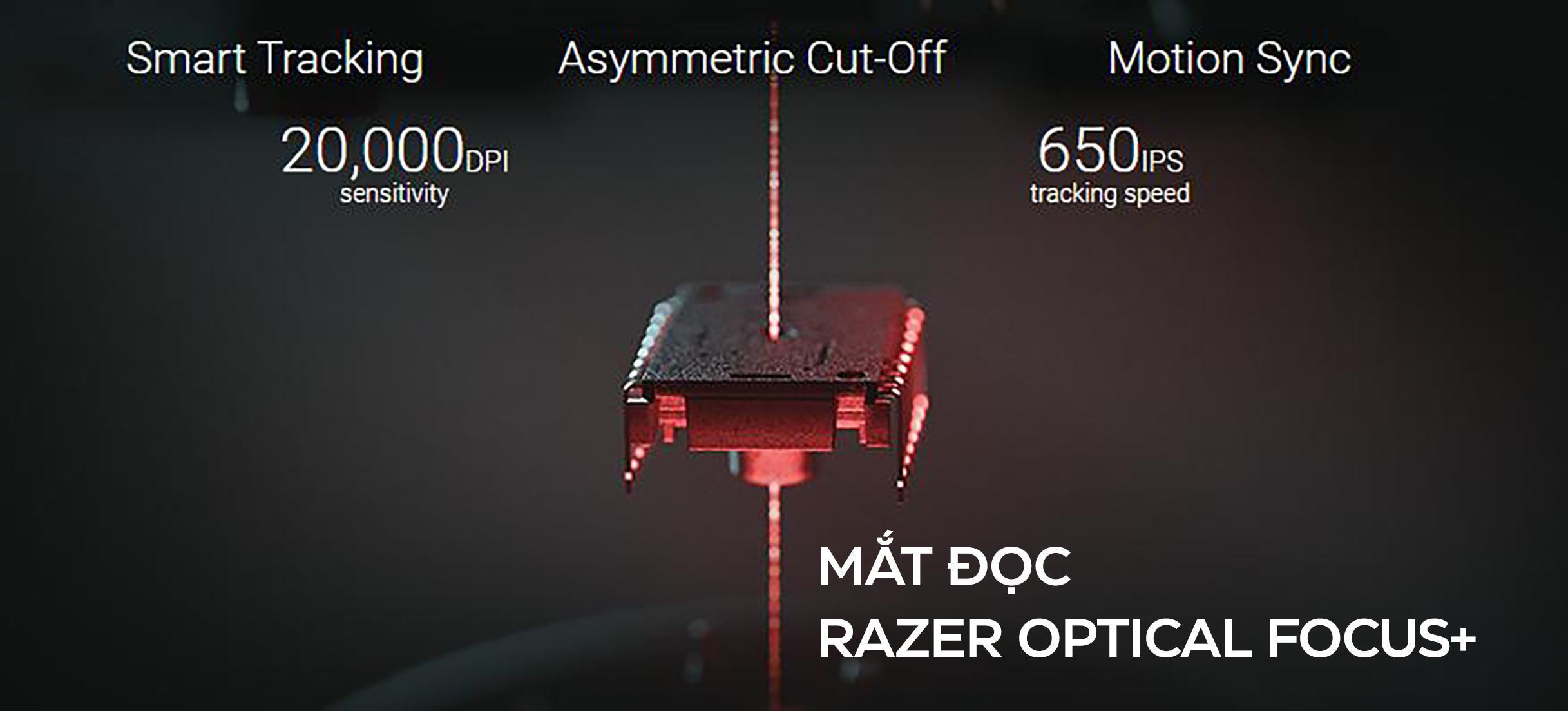 Chuột chơi game Razer DeathAdder V2 RGB Gaming Mouse Black (RZ01-03210100-R3M1)