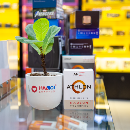 CPU AMD Athlon 3000G ảnh thật