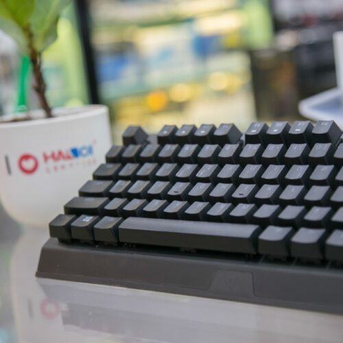 Bàn phím cơ Razer Blackwidow V3 Tenkeyless Yellow Switch (USB/RGB/Đen) (RZ03-03491800-R3M1)