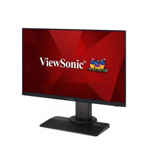Màn hình Viewsonic XG2431