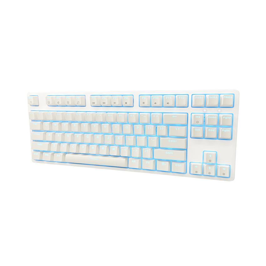 Bàn phím cơ Edra EK387L màu trắng Blue sw (USBC/Led trắng)