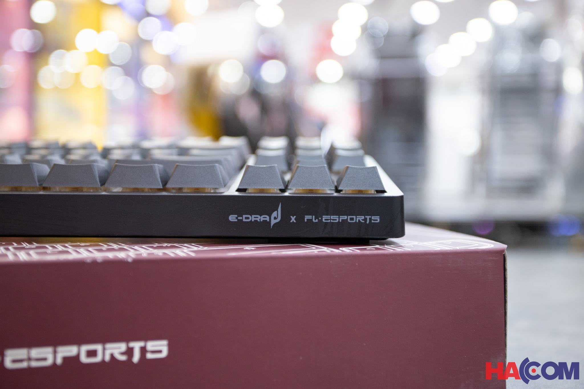 Bàn phím cơ game Edra EK387FL RGB Polar night Brown sw (USBC/PBT)