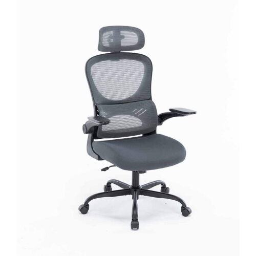 Ghế Công Thái Học WARRIOR Ergonomic Chair