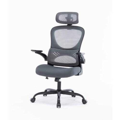 Ghế Công Thái Học WARRIOR Ergonomic Chair