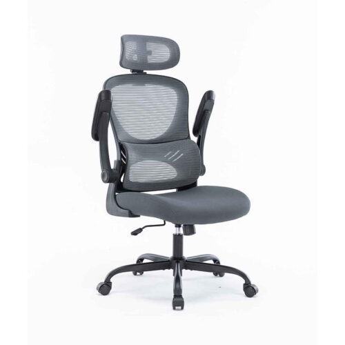 Ghế Công Thái Học WARRIOR Ergonomic Chair