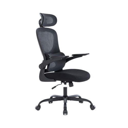Ghế Công Thái Học WARRIOR Ergonomic Chair - Hero series - WEC501 Black
