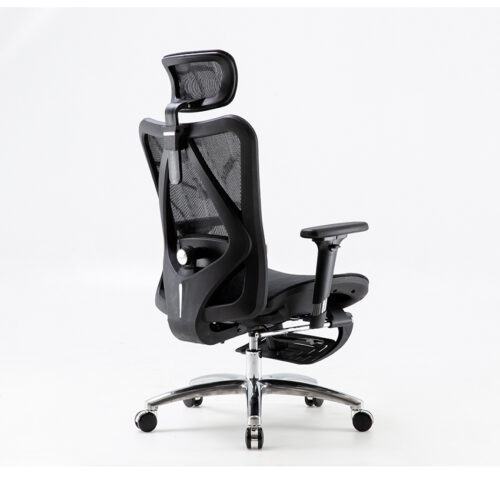 Ghế công thái học Sihoo M57B-N101