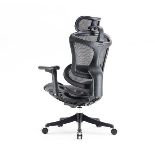 Ghế công thái học Sihoo A3D-101 Black