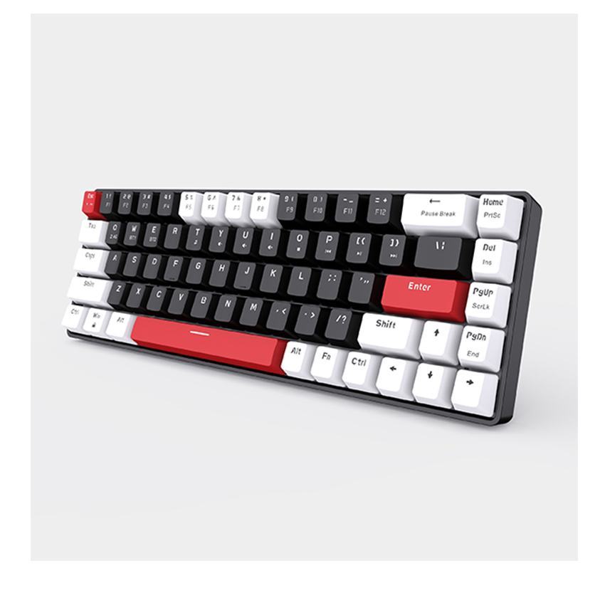 Bàn phím cơ không dây EDRA EK368L White Black Blue switch