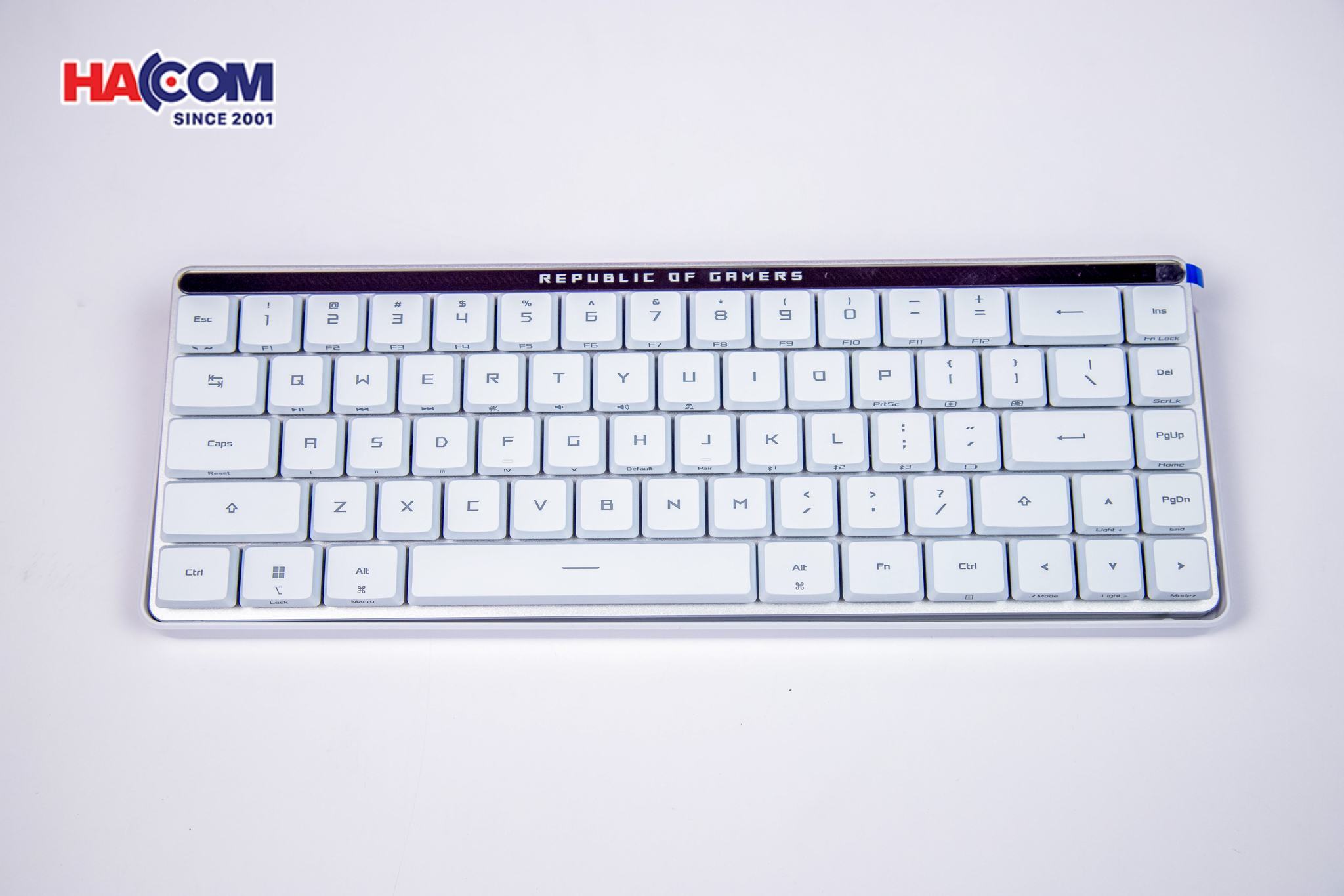 LMC Bàn phím Gaming Asus ROG FALCHION RX LP BLUE _ 90MP03ED-BKUA10