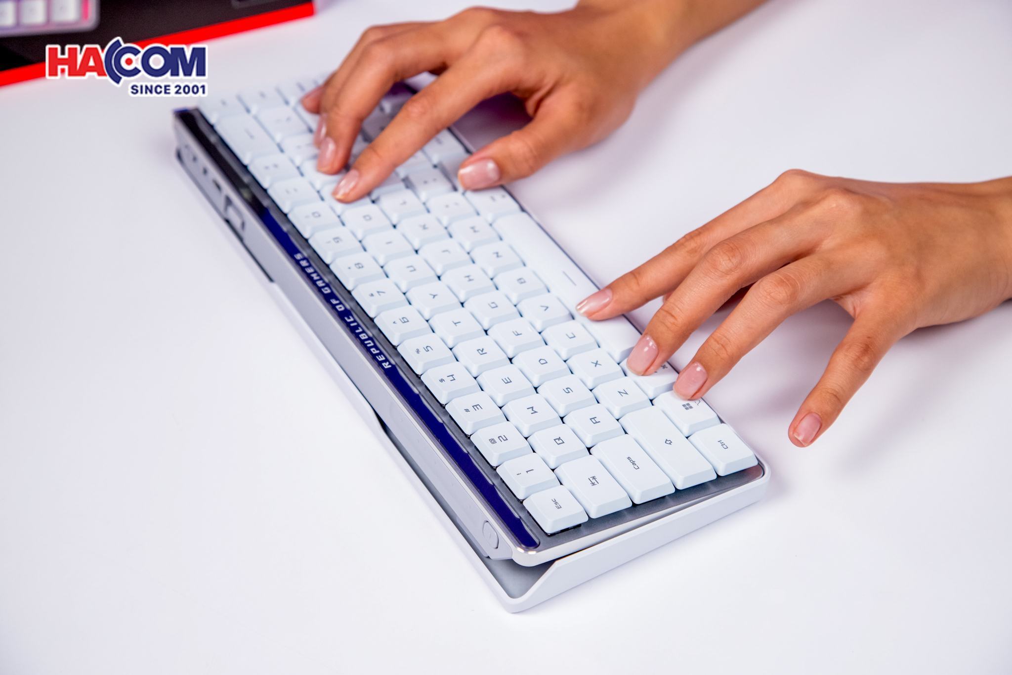 LMC Bàn phím Gaming Asus ROG FALCHION RX LP RED _ 90MP03EC-BKUA10