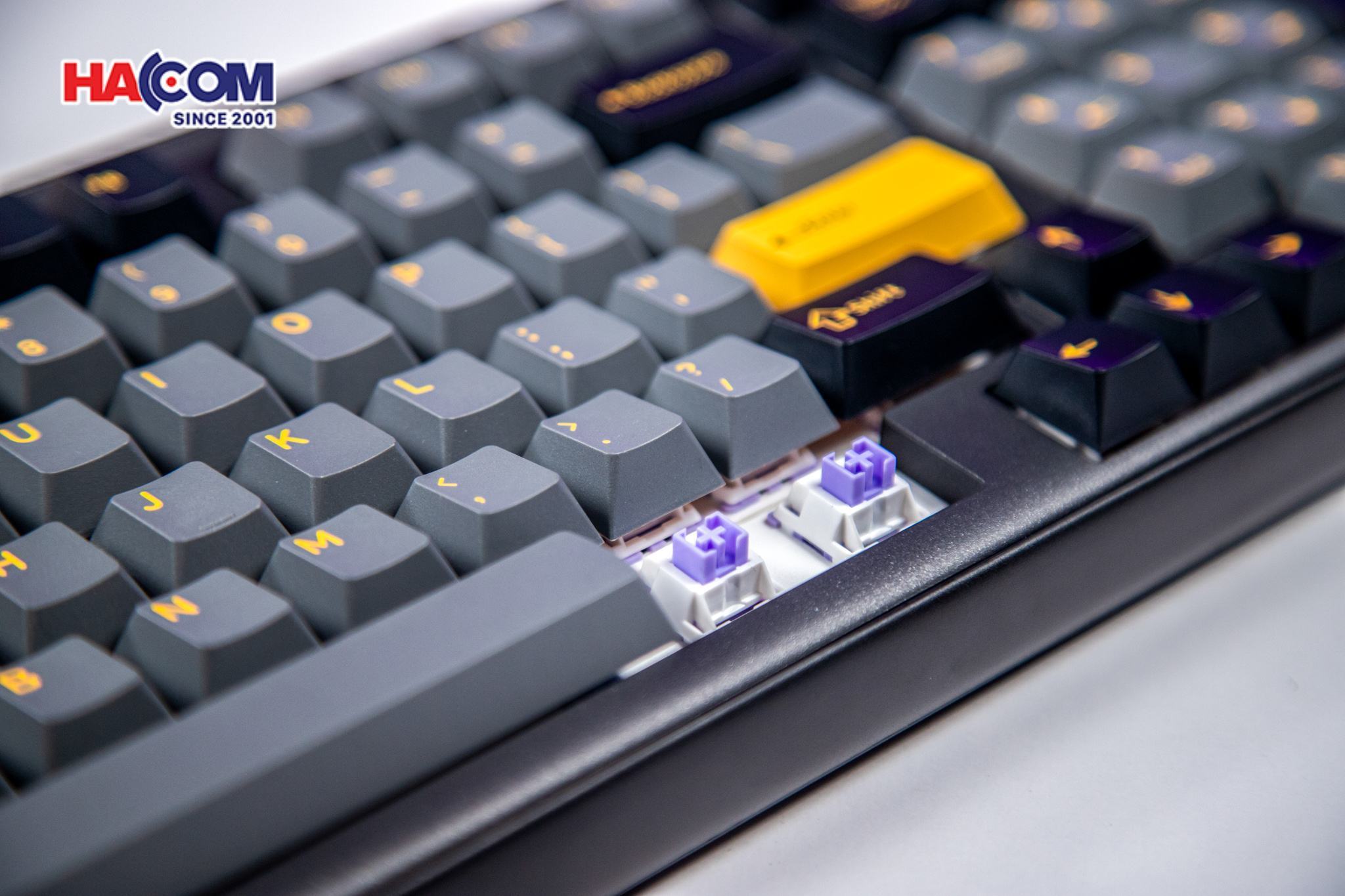 Bàn phím cơ DareU EK98 Pro Black Golden