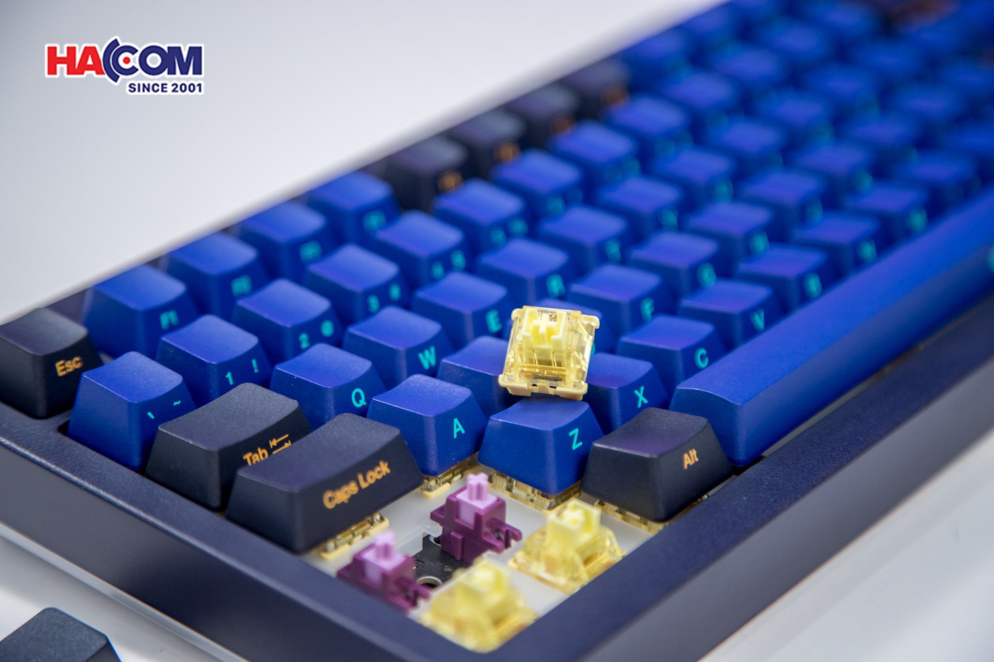 Bàn phím cơ AKKO 5075B Plus Horizon SP