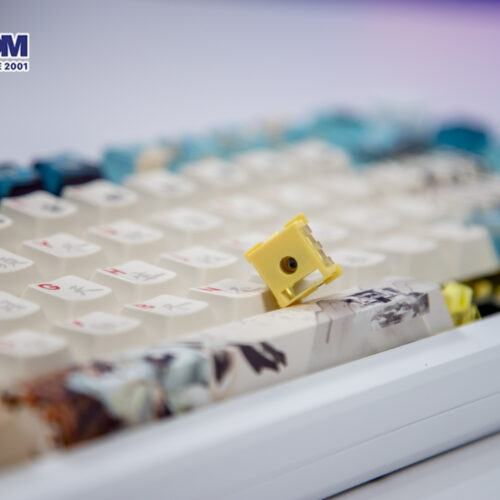 Bàn phím cơ AKKO MOD 007B HE PC Joy of Life (Hotswap,RGB / USB Type C 8K Hz/ Magnetic Switch / Rapid Trigger)