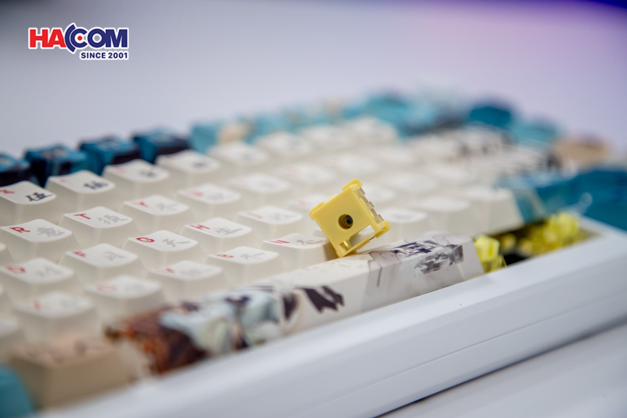 Bàn phím cơ AKKO MOD 007B HE PC Joy of Life (Hotswap,RGB / USB Type C 8K Hz/ Magnetic Switch / Rapid Trigger)