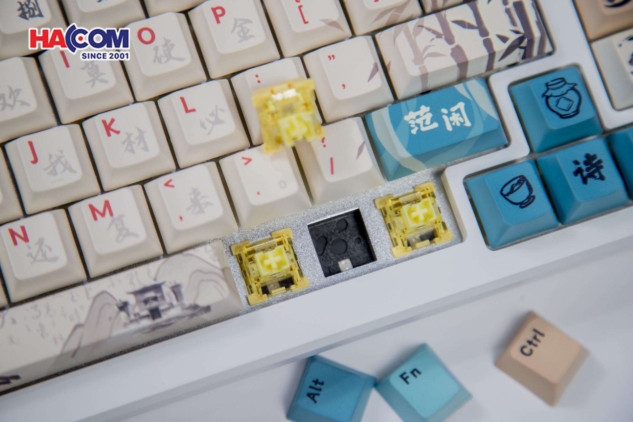 Bàn phím cơ AKKO MOD 007B HE PC Joy of Life (Hotswap,RGB / USB Type C 8K Hz/ Magnetic Switch / Rapid Trigger)