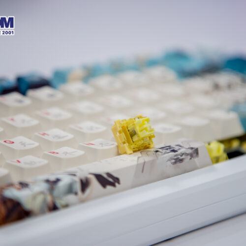 Bàn phím cơ AKKO MOD 007B HE PC Joy of Life (Hotswap,RGB / USB Type C 8K Hz/ Magnetic Switch / Rapid Trigger)