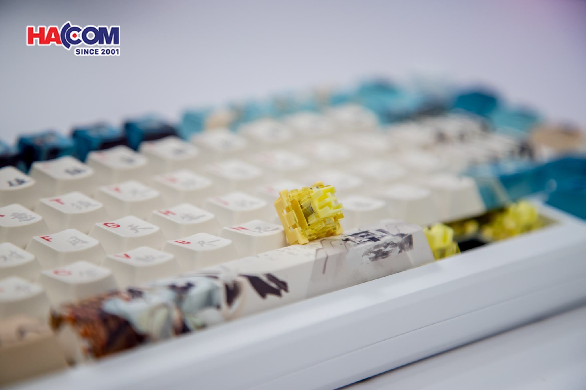 Bàn phím cơ AKKO MOD 007B HE PC Joy of Life (Hotswap,RGB / USB Type C 8K Hz/ Magnetic Switch / Rapid Trigger)