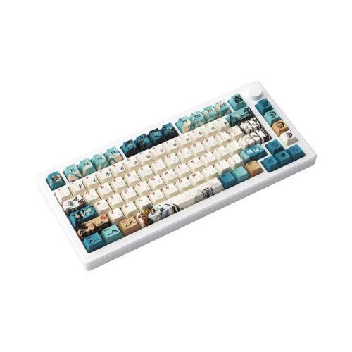 Bàn phím cơ AKKO MOD 007B HE PC Joy of Life (Hotswap,RGB / USB Type C 8K Hz/ Magnetic Switch / Rapid Trigger)