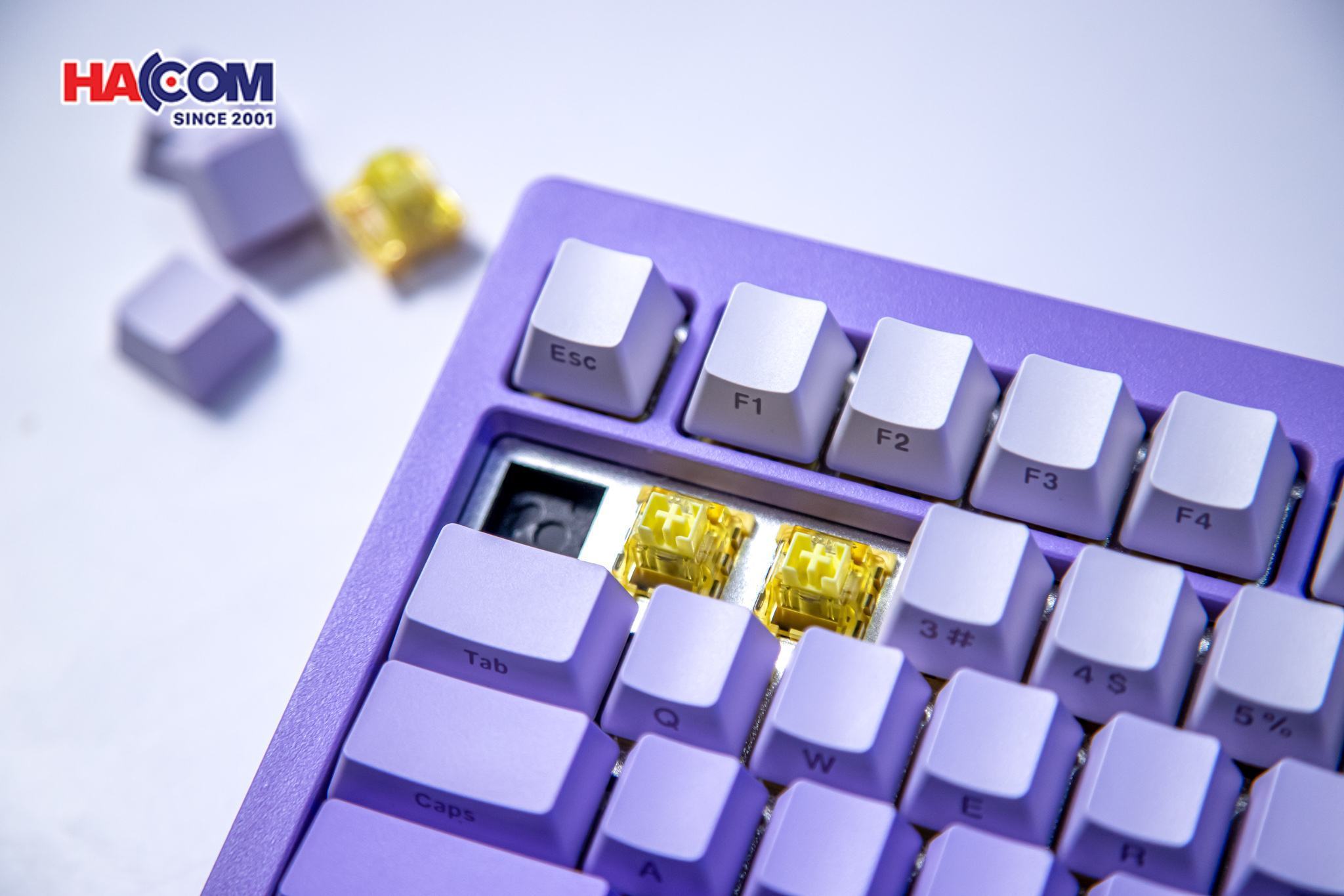 Bàn phím cơ AKKO MonsGeek M1W HE-SP V3 Lilac Purple