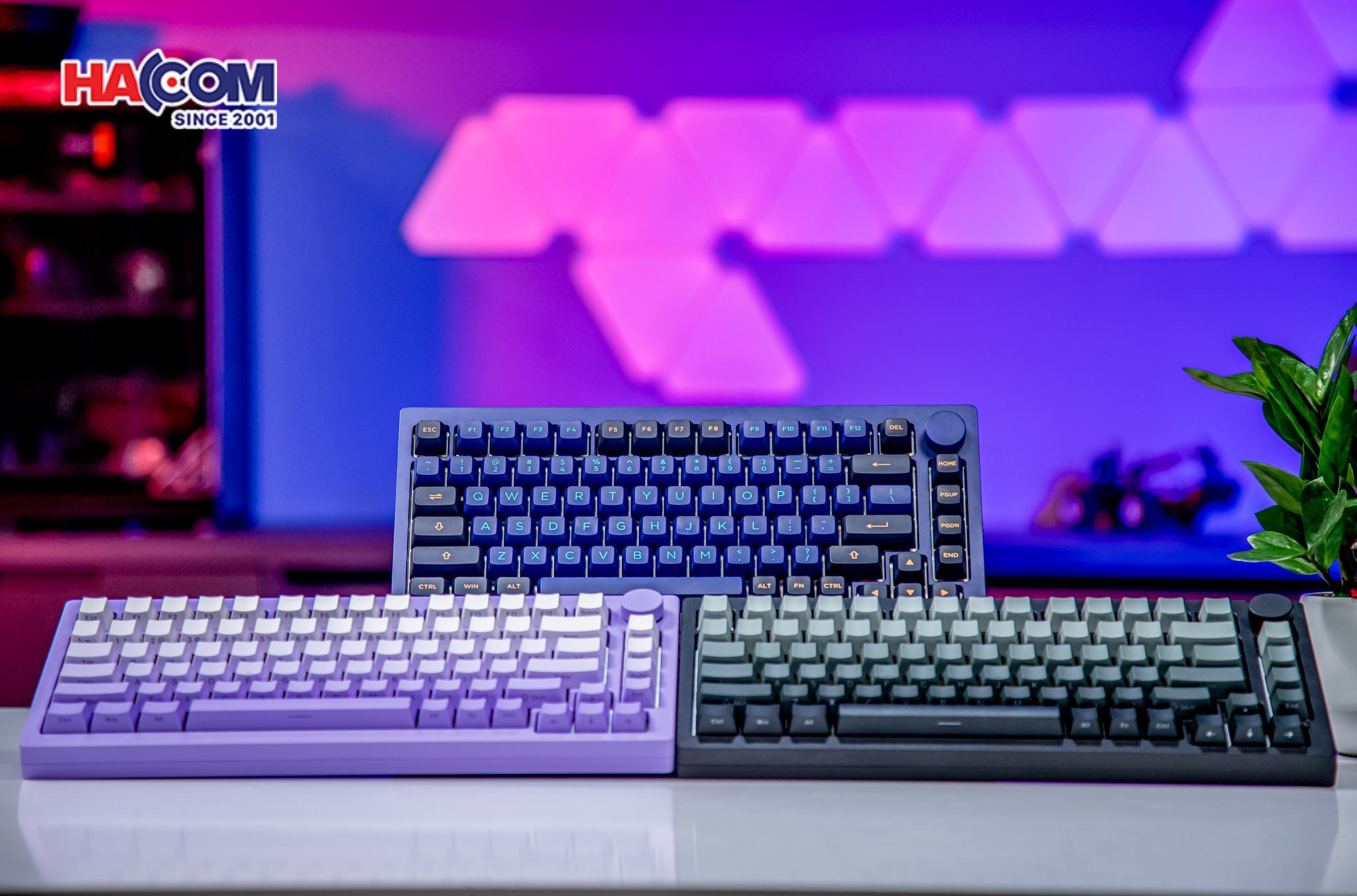 Bàn Phím cơ Akko MonsGeek M1W HE-SP V3 Dark Night