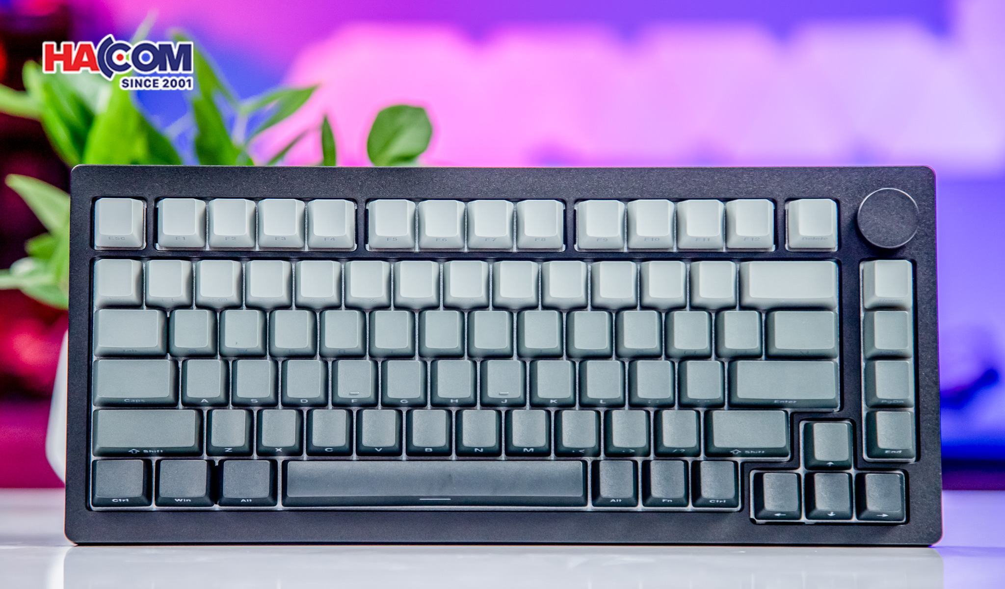 Bàn Phím cơ Akko MonsGeek M1W HE-SP V3 Dark Night