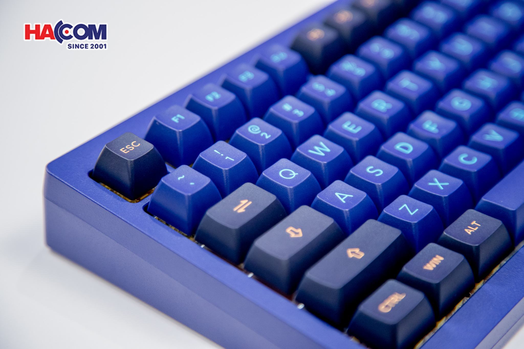 Bàn Phím Akko MonsGeek M1W HE-SP V3 Horizon Blue