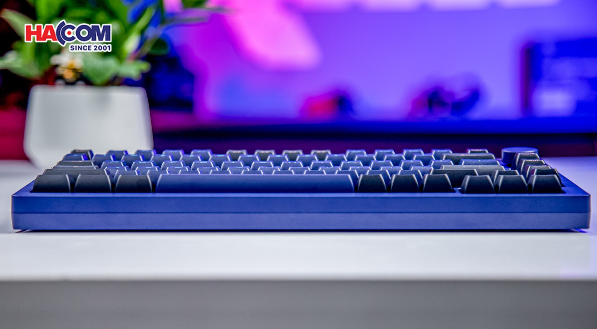 Bàn Phím Akko MonsGeek M1W HE-SP V3 Horizon Blue