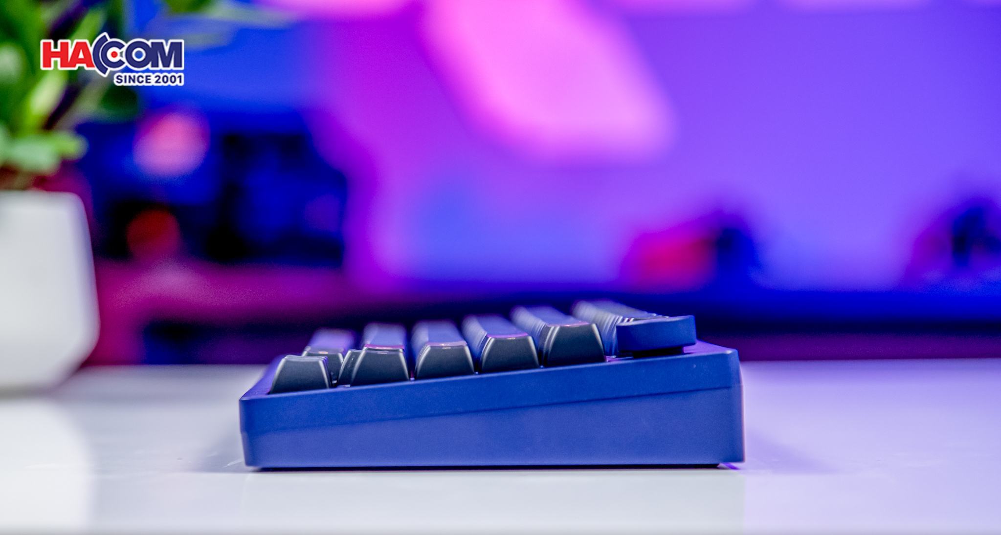 Bàn Phím Akko MonsGeek M1W HE-SP V3 Horizon Blue
