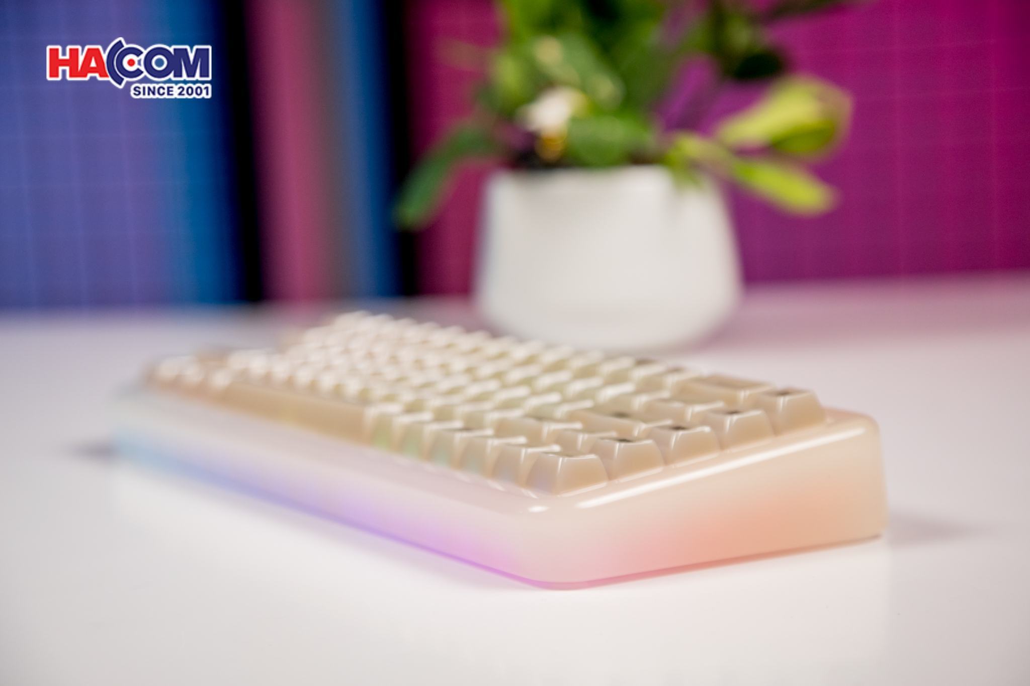 LMC Bàn phím AKKO YU01 Antique Jade