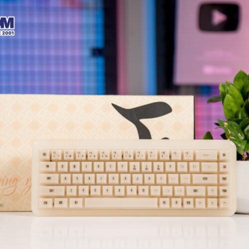 LMC Bàn phím AKKO YU01 Antique Jade