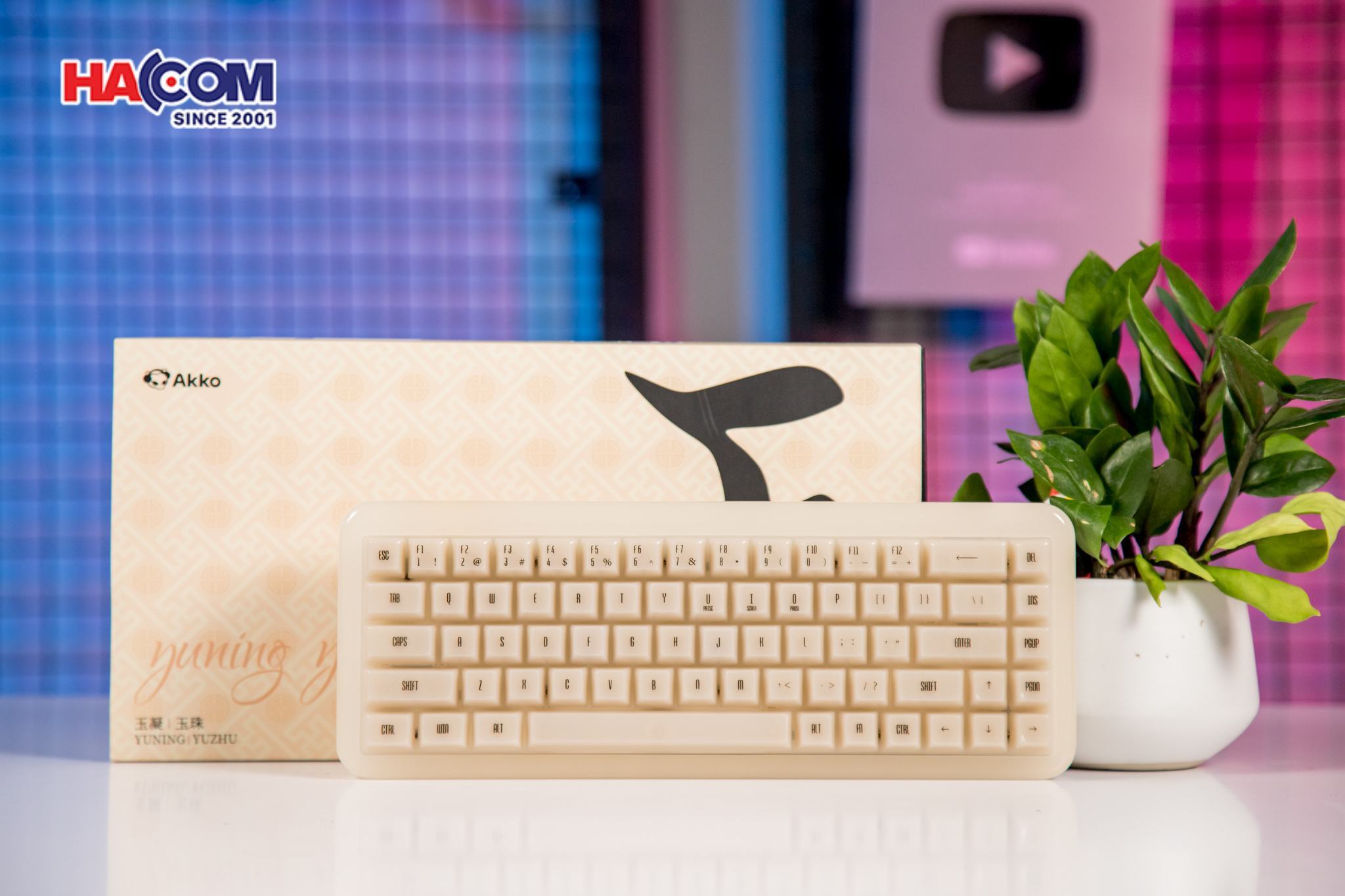 LMC Bàn phím AKKO YU01 Antique Jade