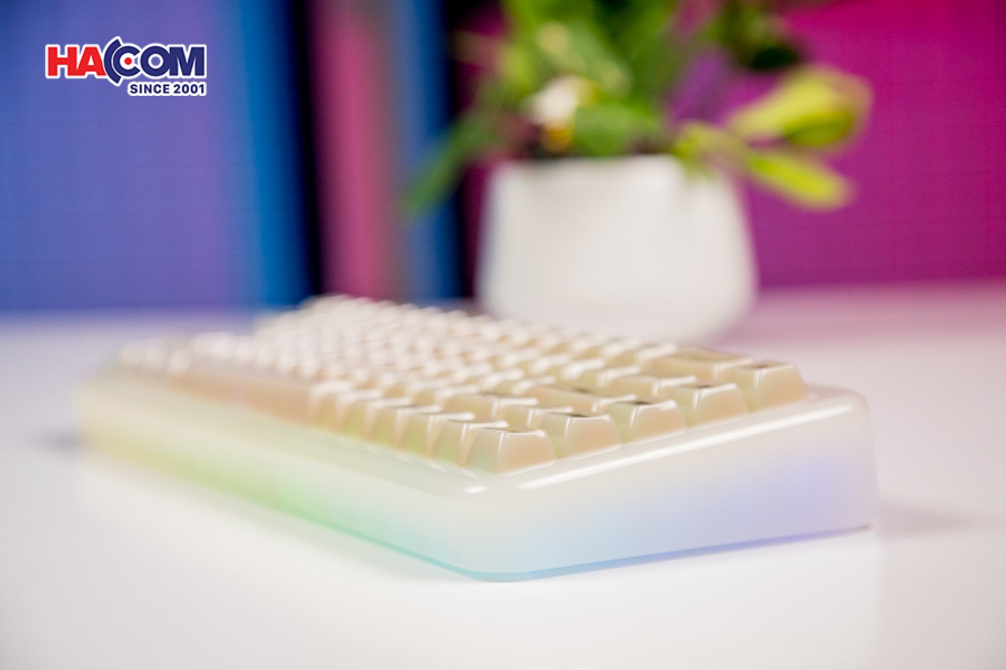 LMC Bàn phím AKKO YU01 Antique Jade