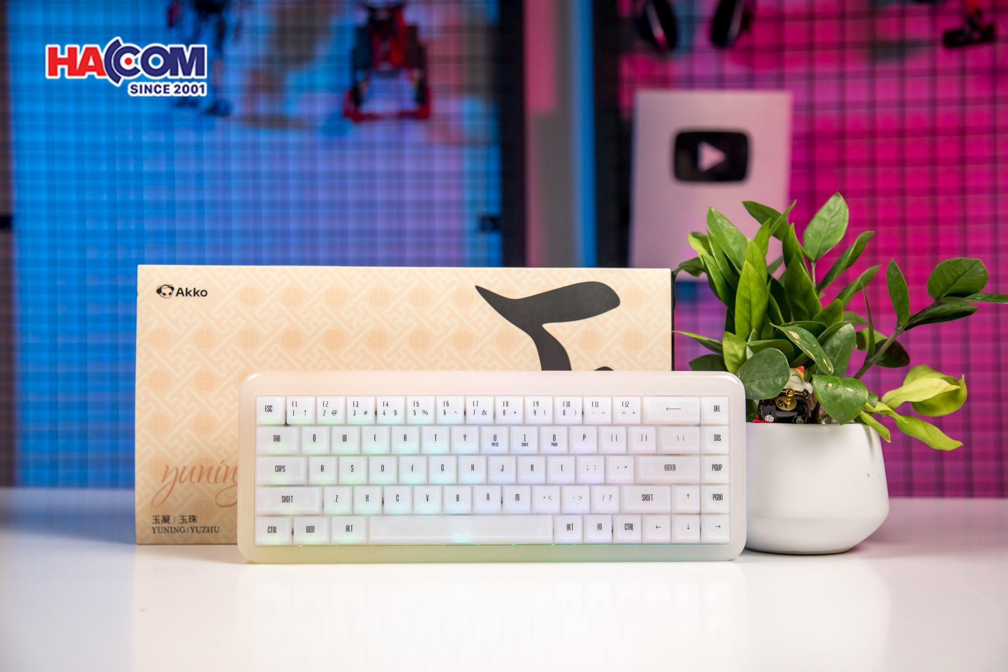 LMC Bàn phím AKKO YU01 White Jade