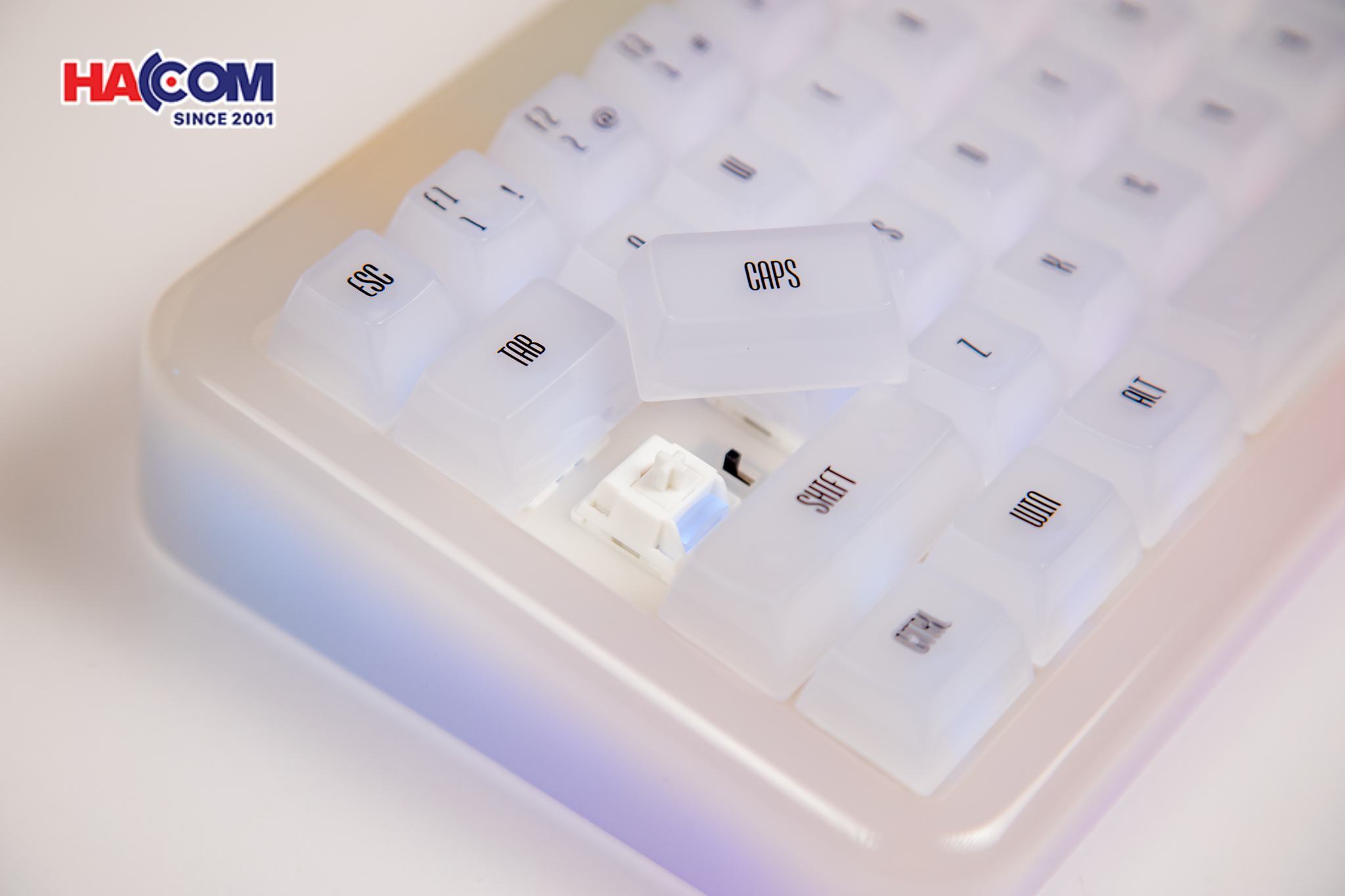 LMC Bàn phím AKKO YU01 White Jade