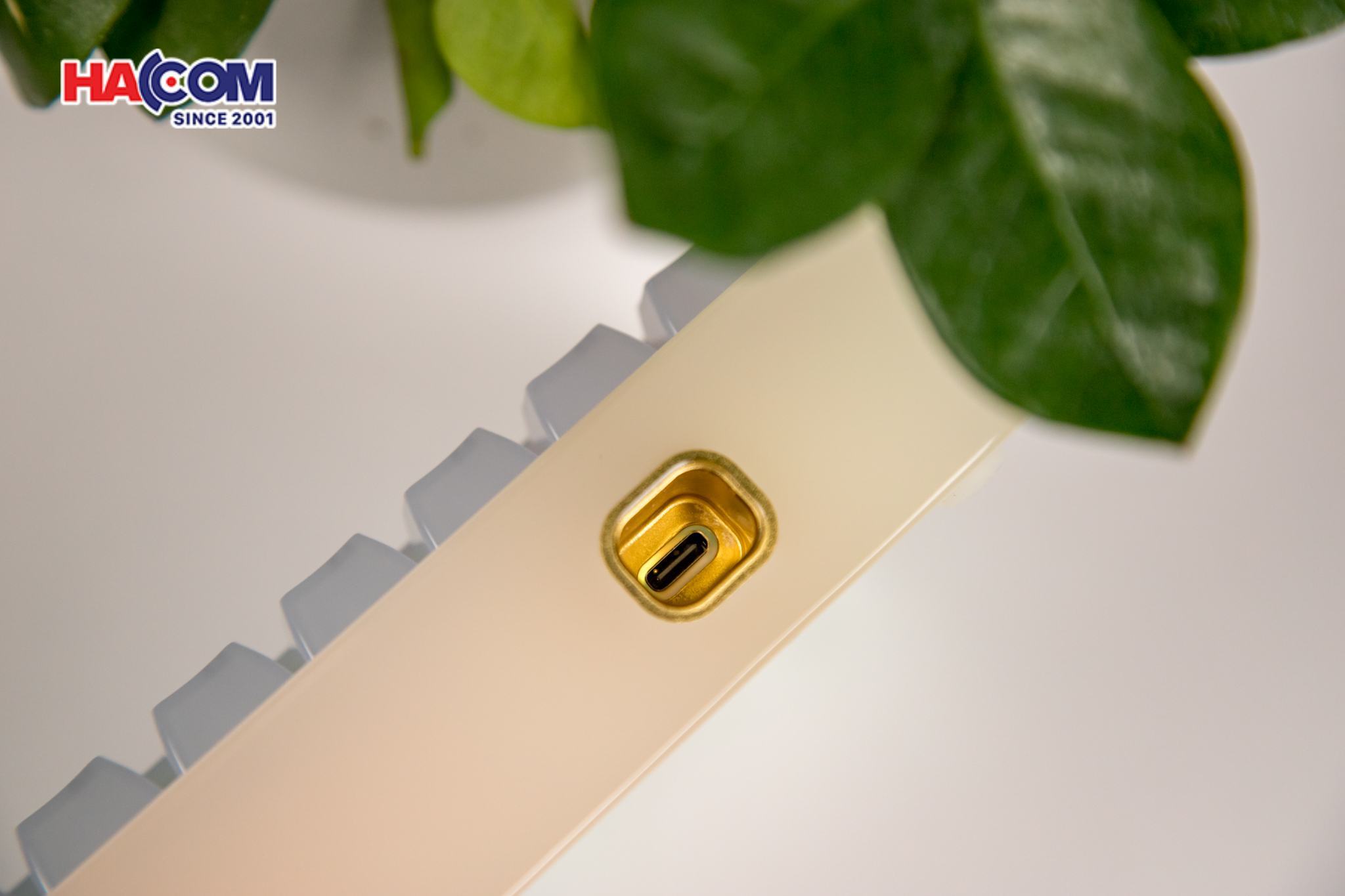 LMC Bàn phím AKKO YU01 White Jade