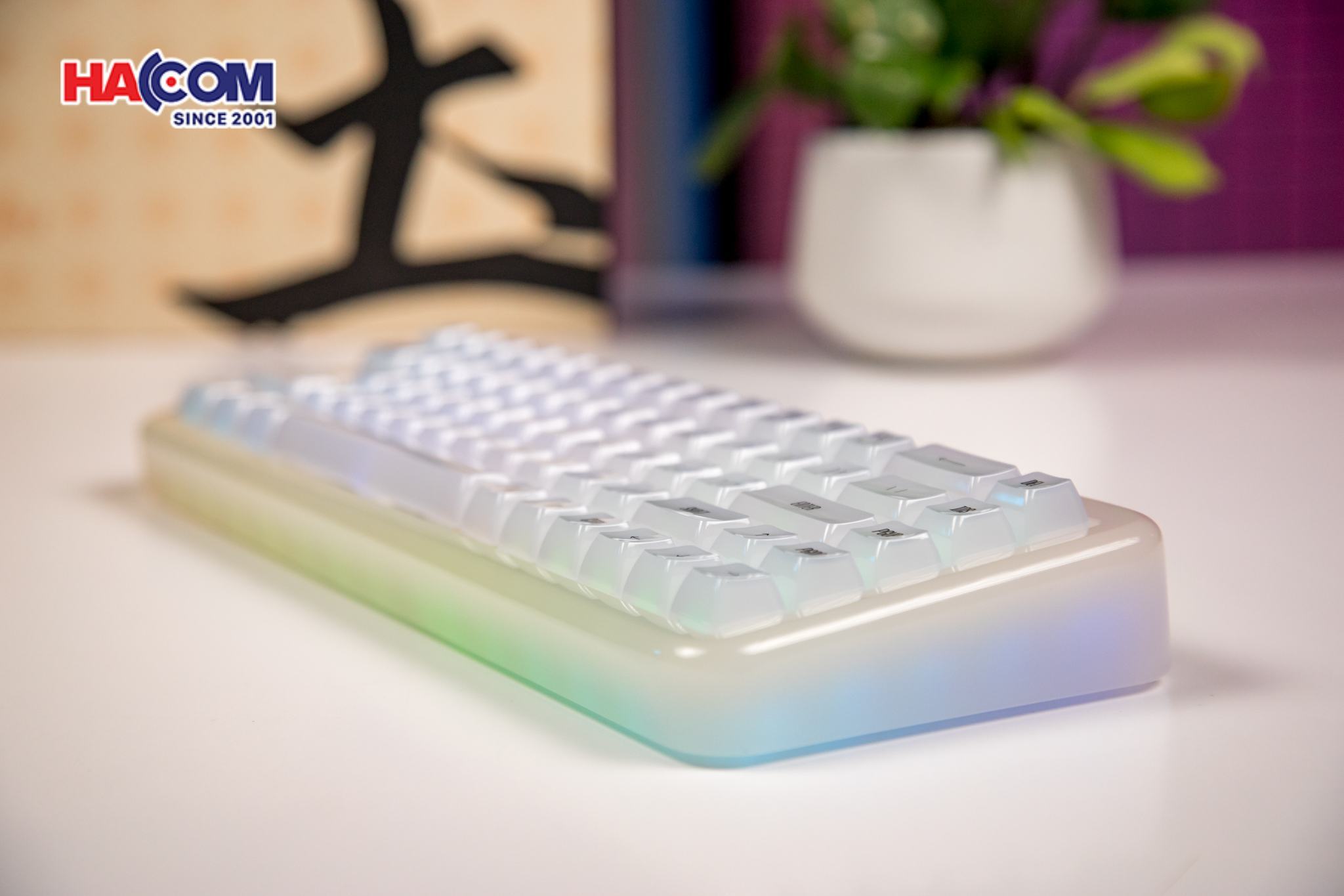 LMC Bàn phím AKKO YU01 White Jade