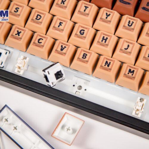 LMC Bàn phím AKKO 5098B Wasteland Survival