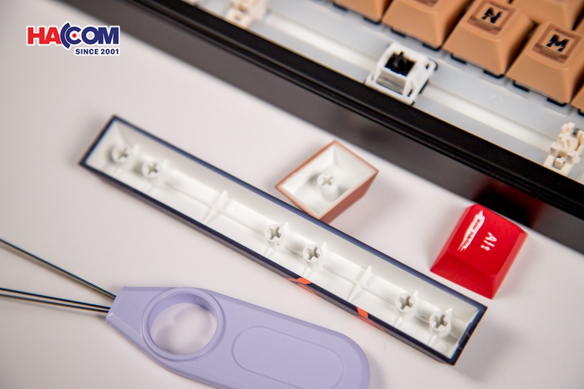 LMC Bàn phím AKKO 5098B Wasteland Survival