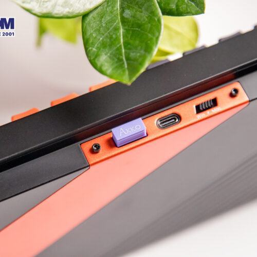 LMC Bàn phím AKKO 5098B Wasteland Survival