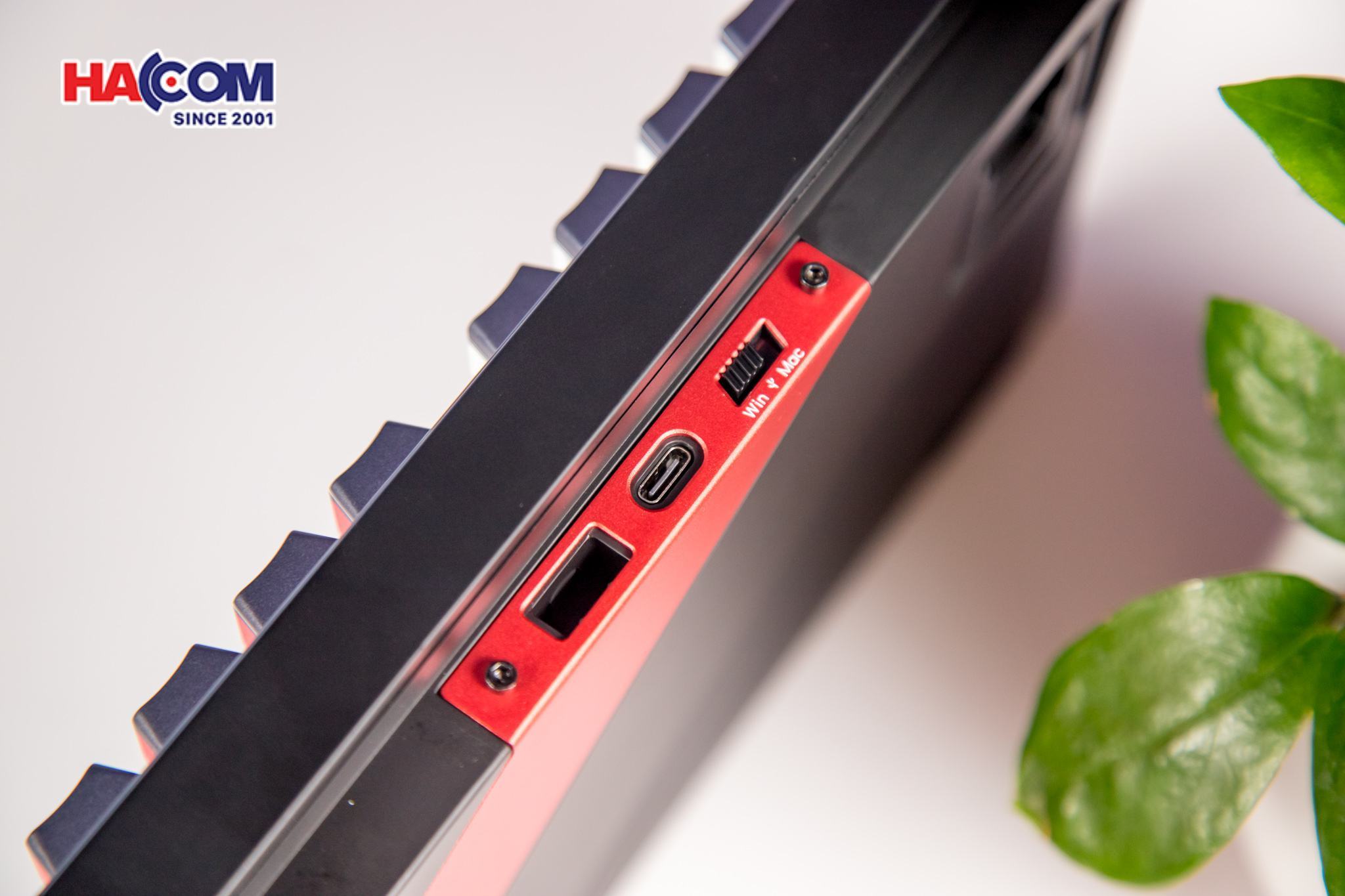 LMC Bàn phím AKKO 5098B The King’s Avatar Ye Xiu