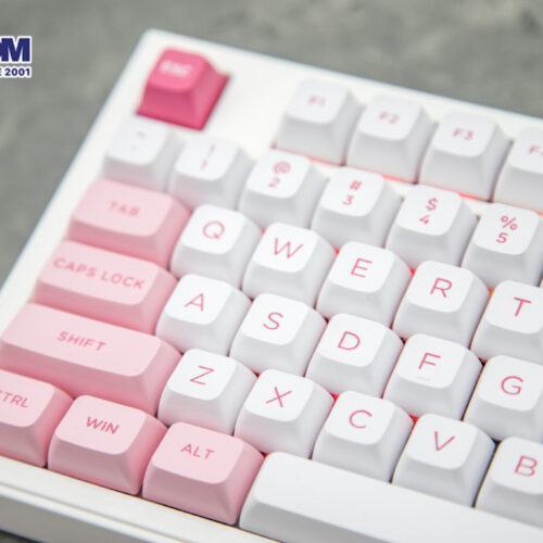 LMC Bàn phím AKKO 5098B Prunus Lannesiana