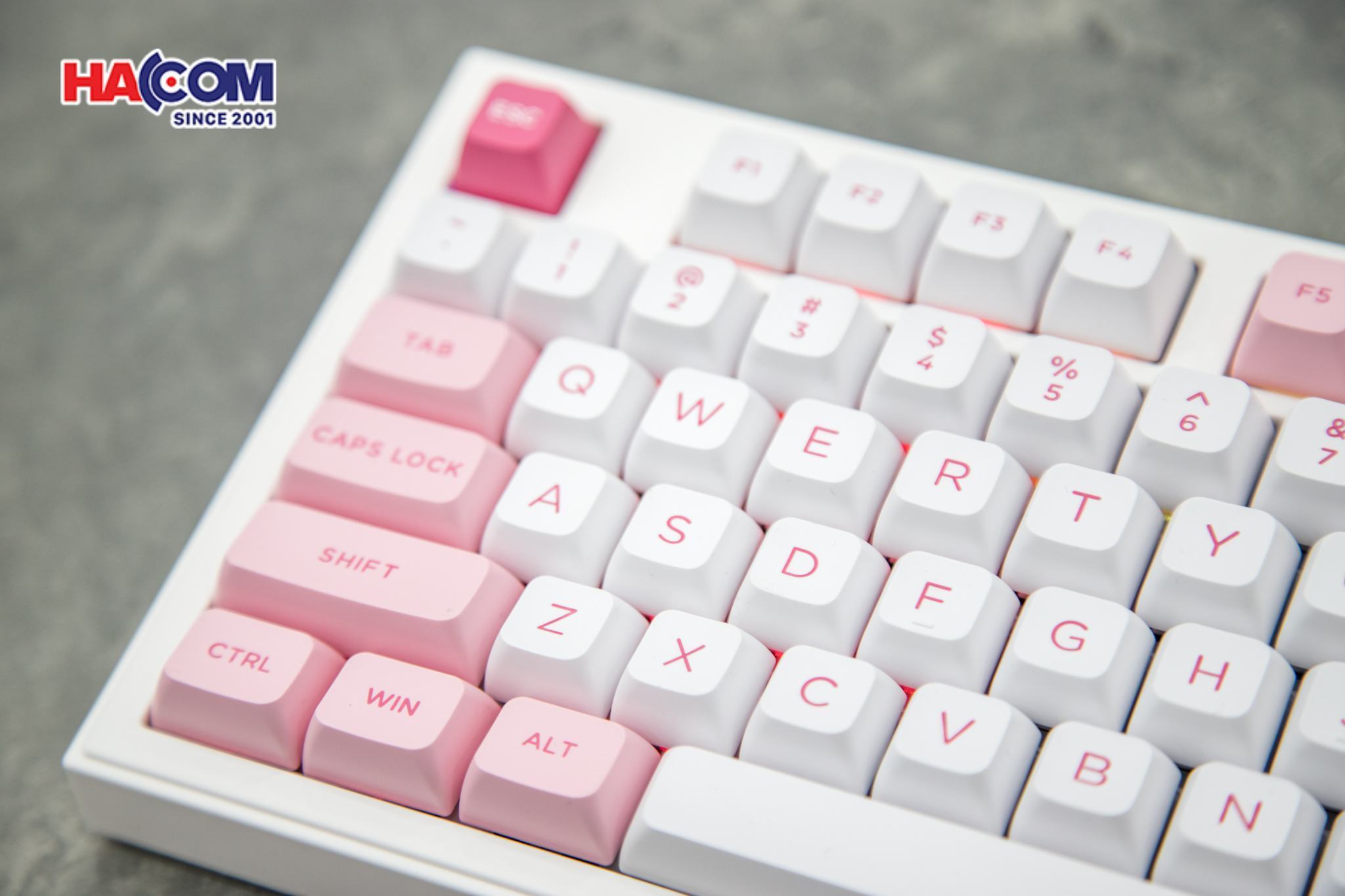 LMC Bàn phím AKKO 5098B Prunus Lannesiana