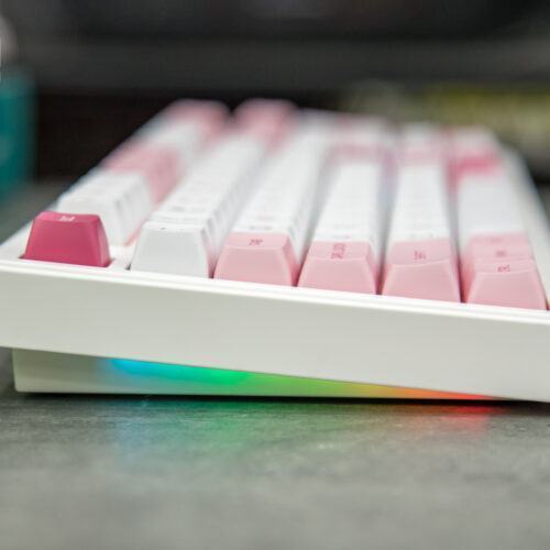 LMC Bàn phím AKKO 5098B Prunus Lannesiana