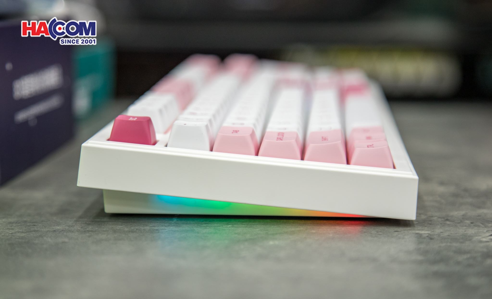 LMC Bàn phím AKKO 5098B Prunus Lannesiana