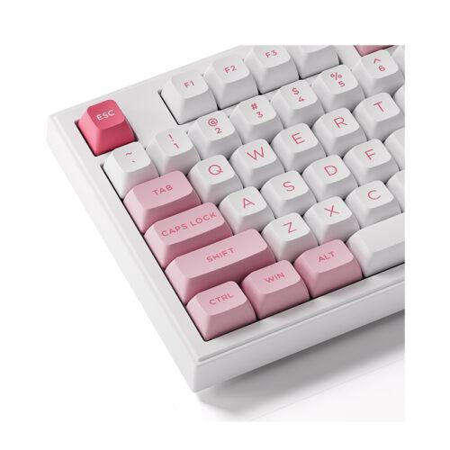 Bàn phím AKKO 5098B Prunus Lannesiana