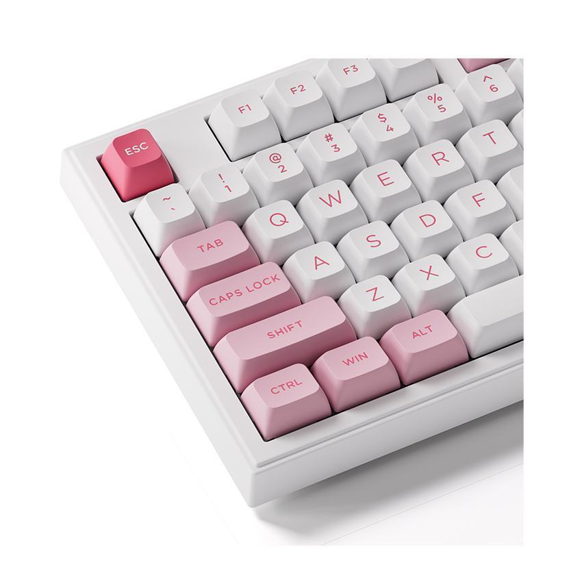 Bàn phím AKKO 5098B Prunus Lannesiana