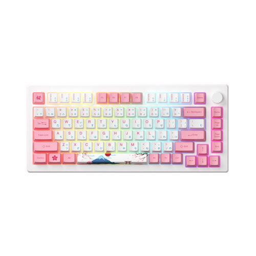 Bàn phím HE AKKO MOD007B PC Tokyo (8K USB-CMagnetic SwitchRapid Trigger)