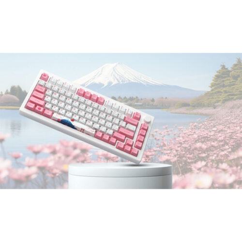 Bàn phím HE AKKO MOD007B PC Tokyo (8K USB-CMagnetic SwitchRapid Trigger)